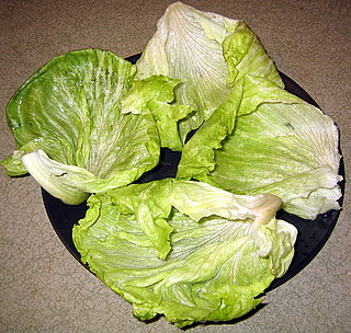 lettuce leaves