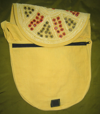 lemon bag showing compartments